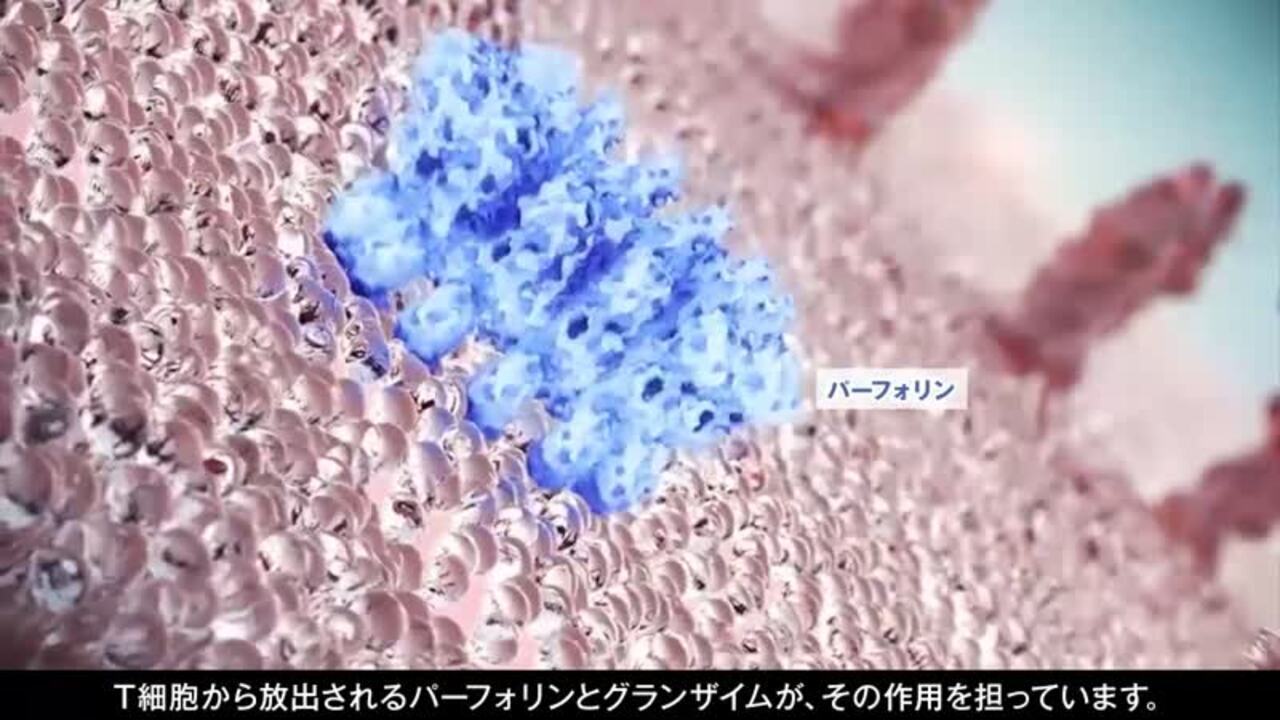 サムネイル_作用機序