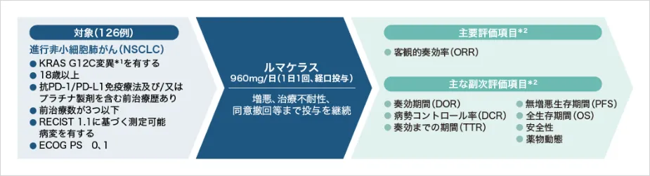 図_国際共同単群非盲検第Ⅰ/Ⅱ相試験（CodeBreaK 100試験/20170543試験）