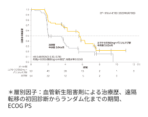 図12 無増悪生存期間（PFS）［主要評価項目］［検証的解析結果］