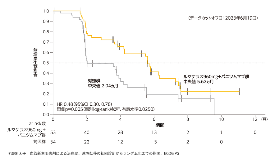 図12 無増悪生存期間（PFS）［主要評価項目］［検証的解析結果］