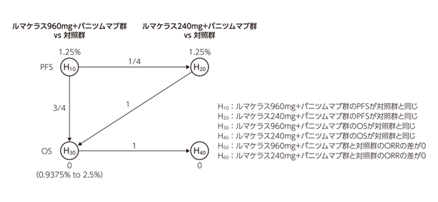 図 解析計画
