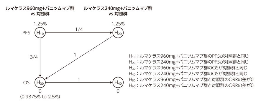 〔解析計画〕