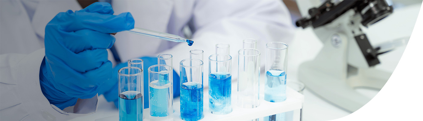 イメージ_領域別情報