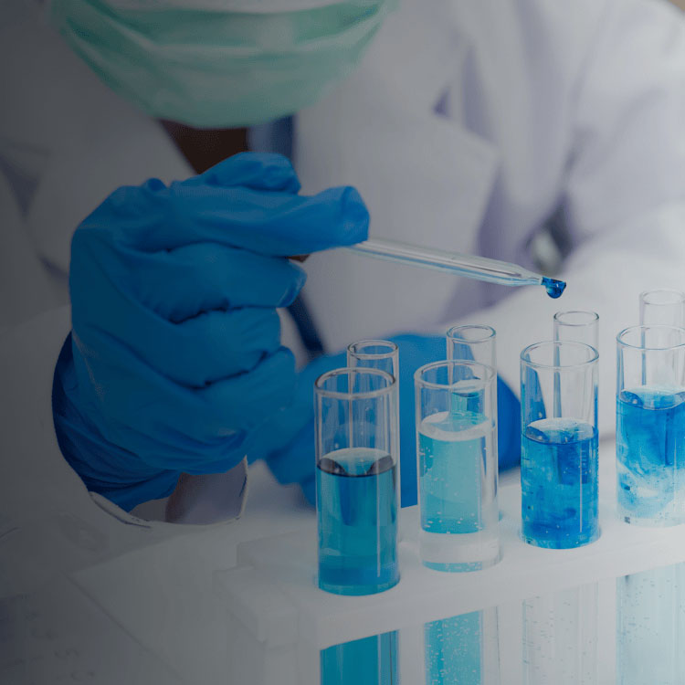 イメージ_領域別情報