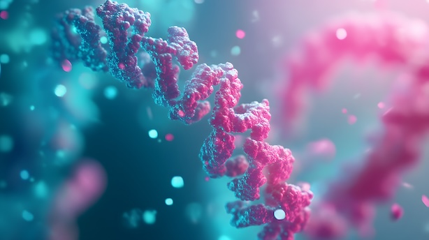 イメージ_希少疾患