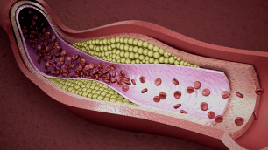 サムネイル_製品情報