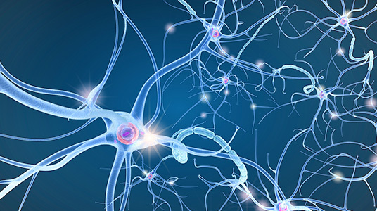 イメージ_アイモビーグプロファイル