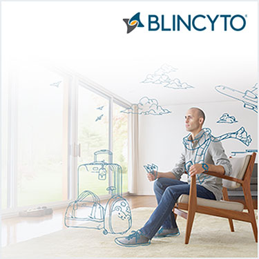 イメージ_ビーリンサイト