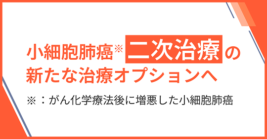二次治療での投与について