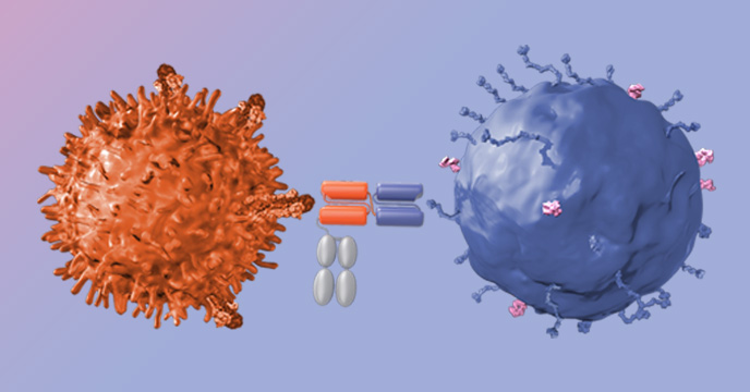 サムネイル_特徴