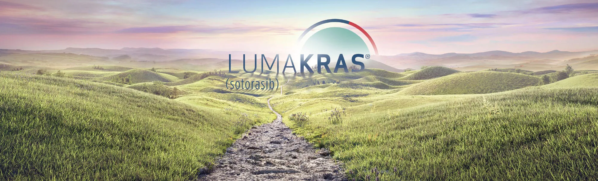 イメージ_ルマケラス 