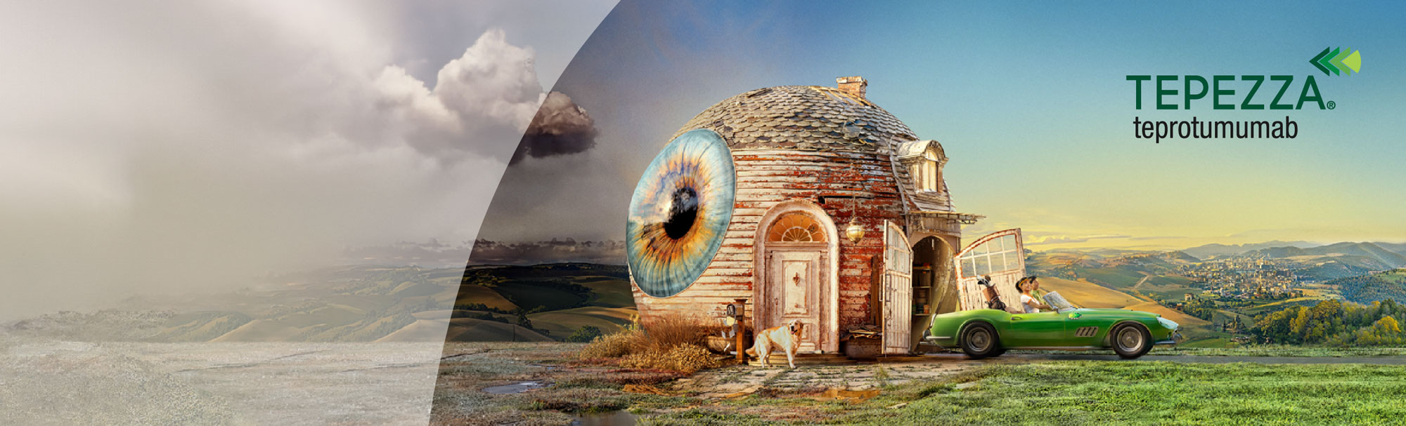 イメージ_テッペーザ