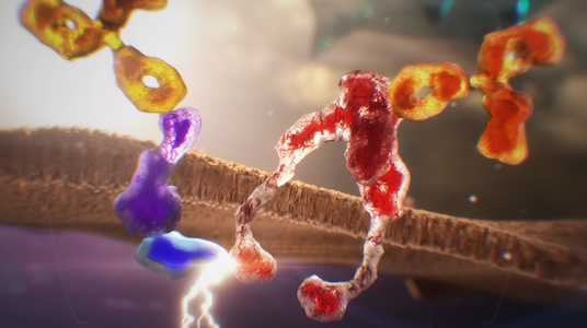 サムネイル_ テッペーザの作用機序