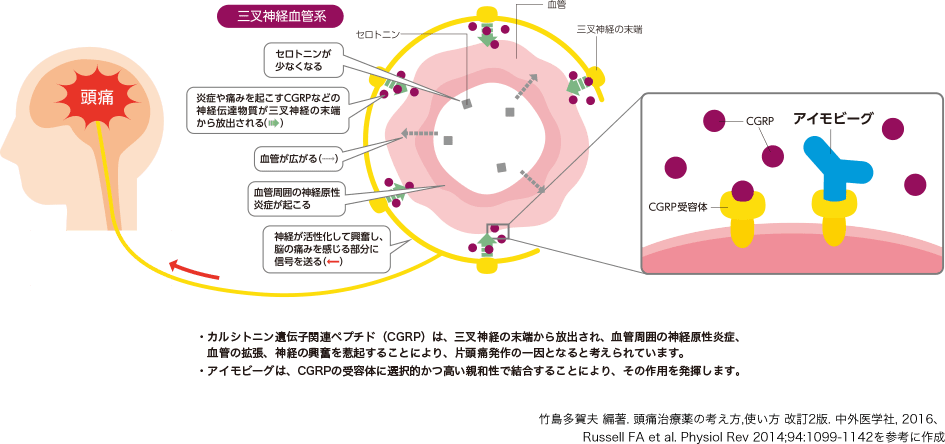 図_アイモビーグの作用機序