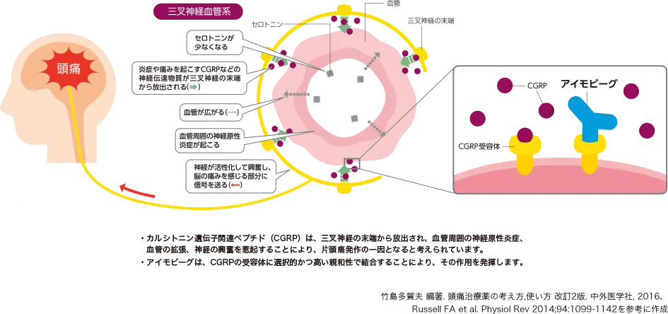 図_アイモビーグの作用機序