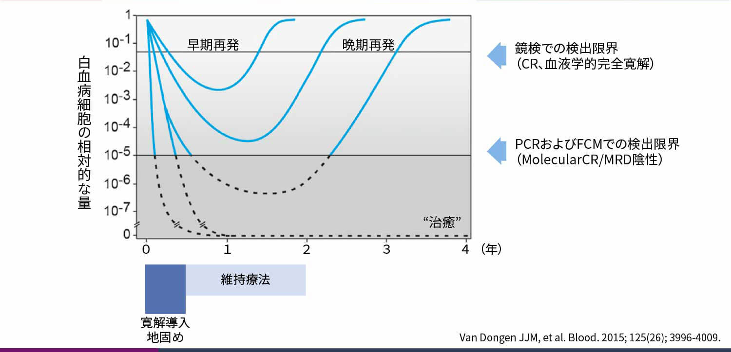 ALL治療における白血病細胞増減の概念図