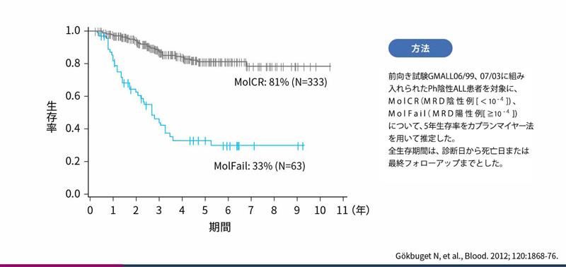 Ph陰性ALLにおける予後因子としてのMRD