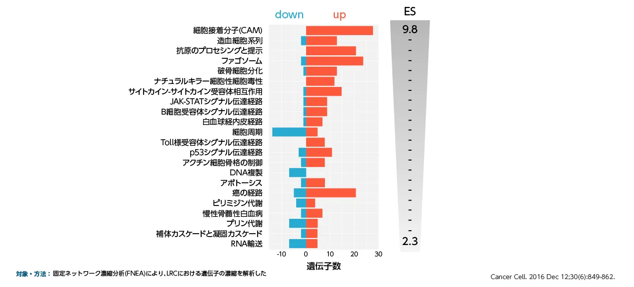 LRCにおける遺伝子発現