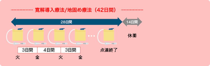 図2:外来治療用レジメン 寛解導入療法/地固め療法(42日間)と維持療法(84日間)
