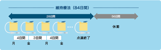 図2:外来治療用レジメン 寛解導入療法/地固め療法(42日間)と維持療法(84日間)