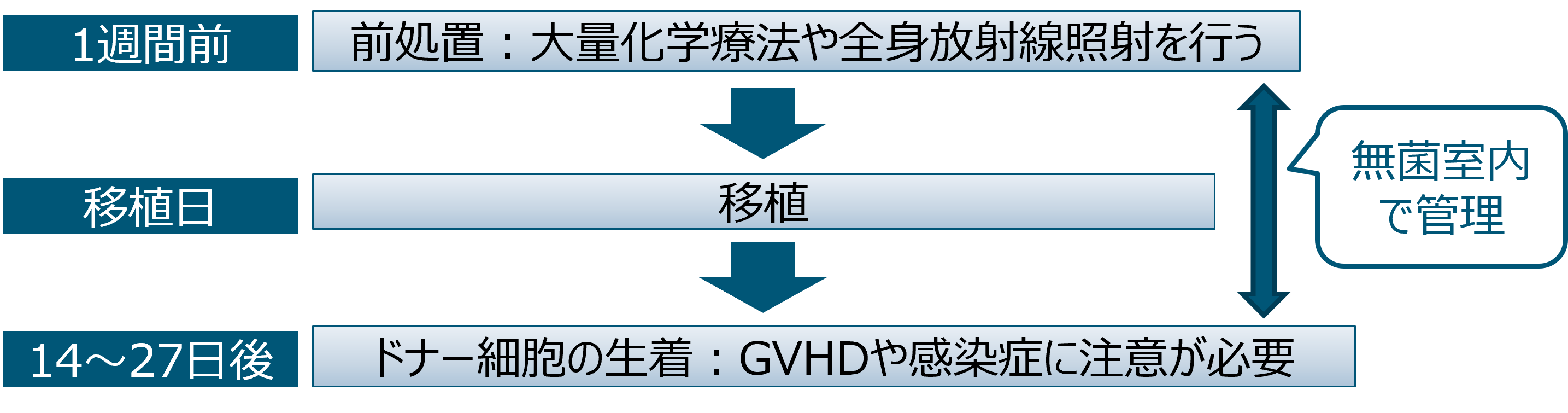 図_同種造血幹細胞移植の流れ