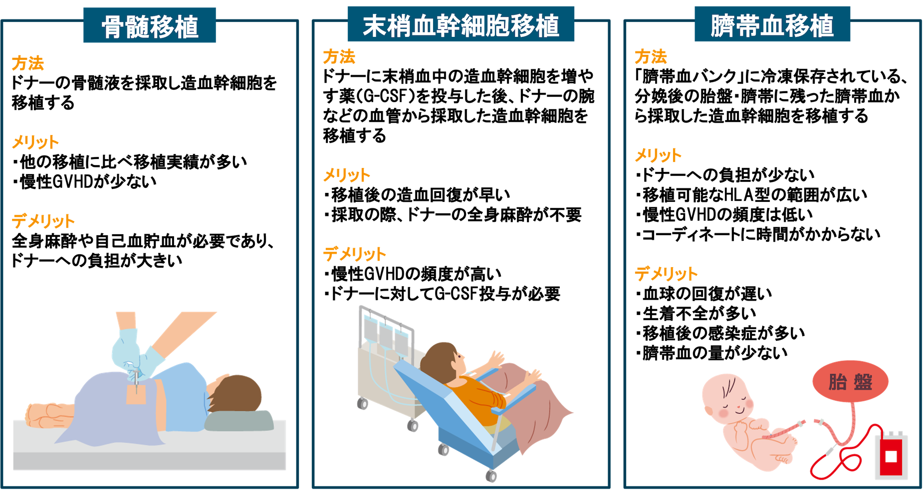 図_同種造血幹細胞移植の種類