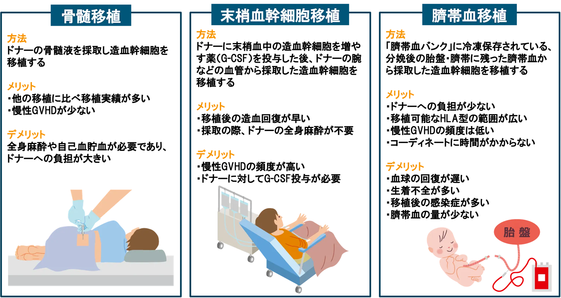 図_同種造血幹細胞移植の種類