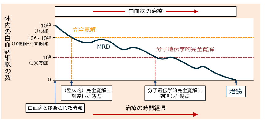 図_体内の白血病細胞の総数の変化