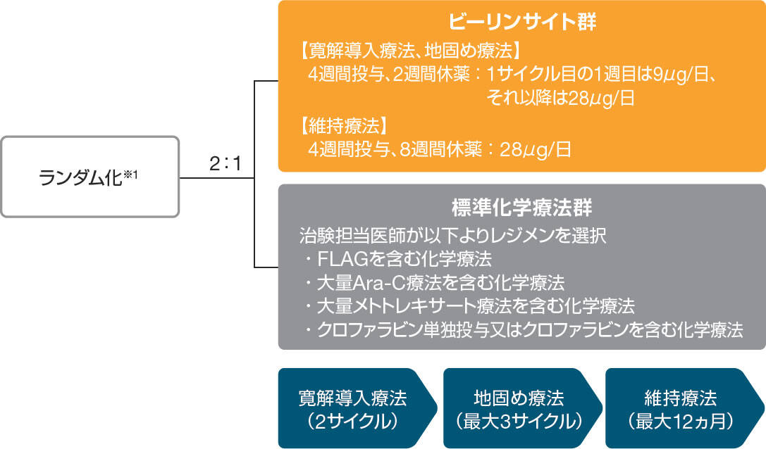図_投与方法