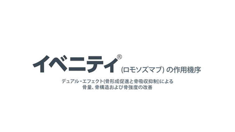 動画でみるイベニティの作用機序