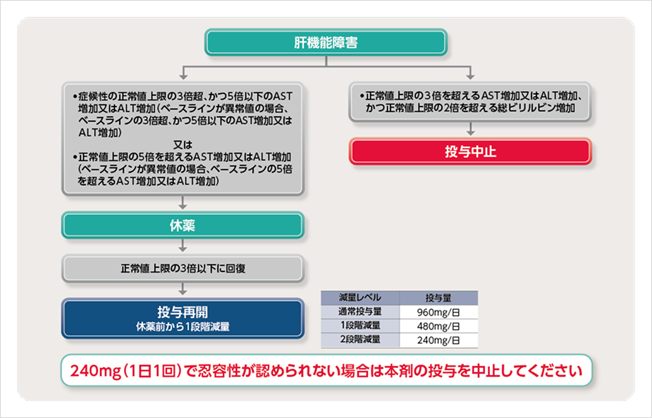 図_肝機能障害発現時の対処法：減量、休薬