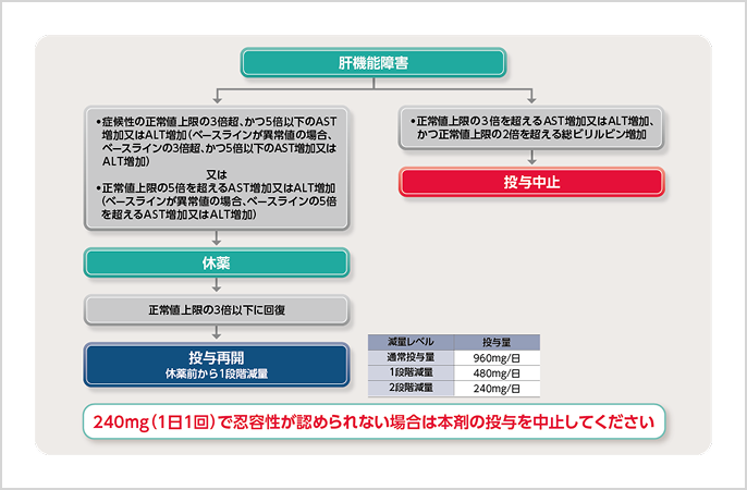 図_肝機能障害発現時の対処法：減量、休薬