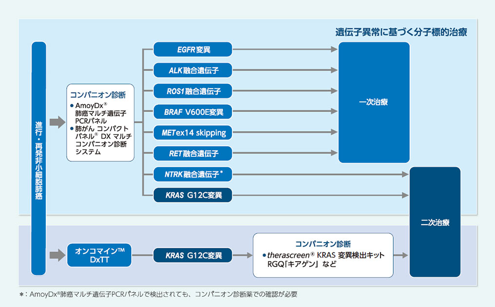 図1_KRAS遺伝子検査のフロー:診断からルマケラスの投与まで