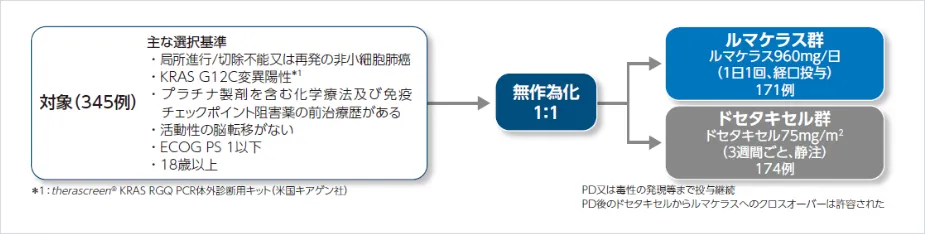 図_国際共同非盲検無作為化第Ⅲ相試験