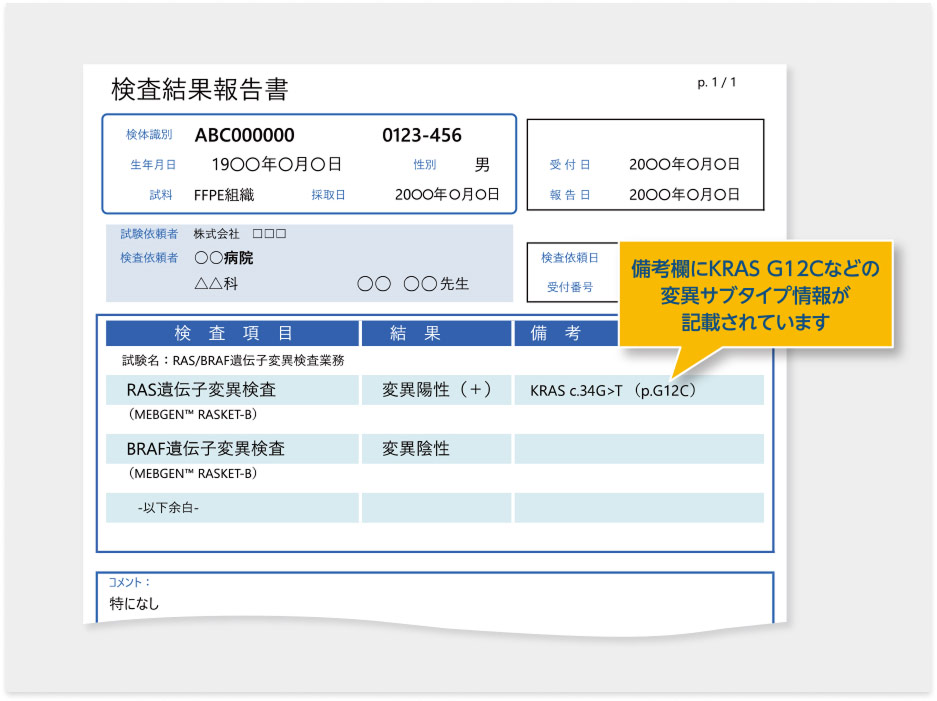 MEBGEN RASKETTM-B キットの報告書（サンプル）