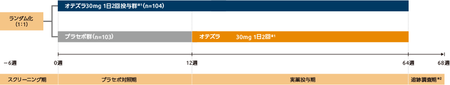 国際共同第Ⅲ相臨床試験