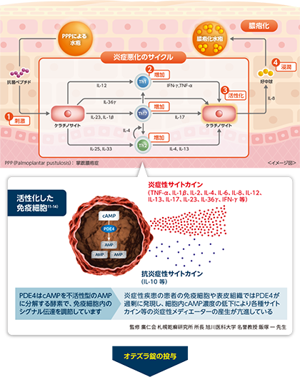 オテズラ錠の作用