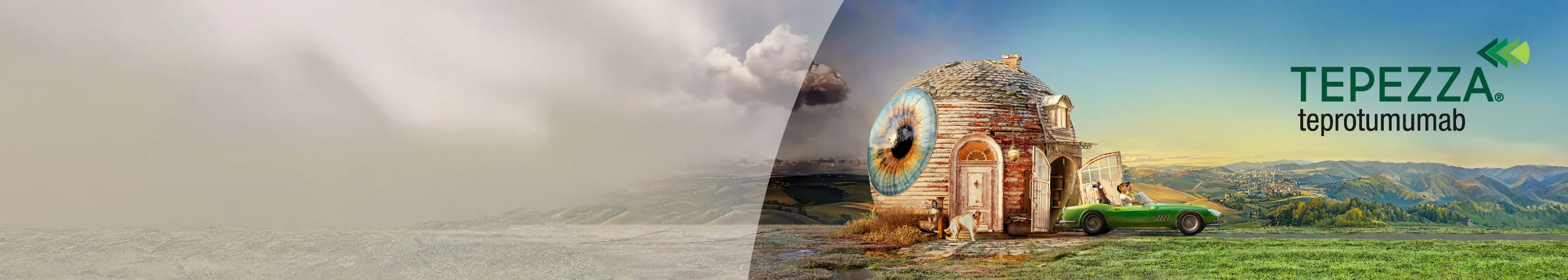 イメージ_テッペーザ